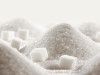BREAKING THE SUGAR ADDICTION ROLLER COASTER