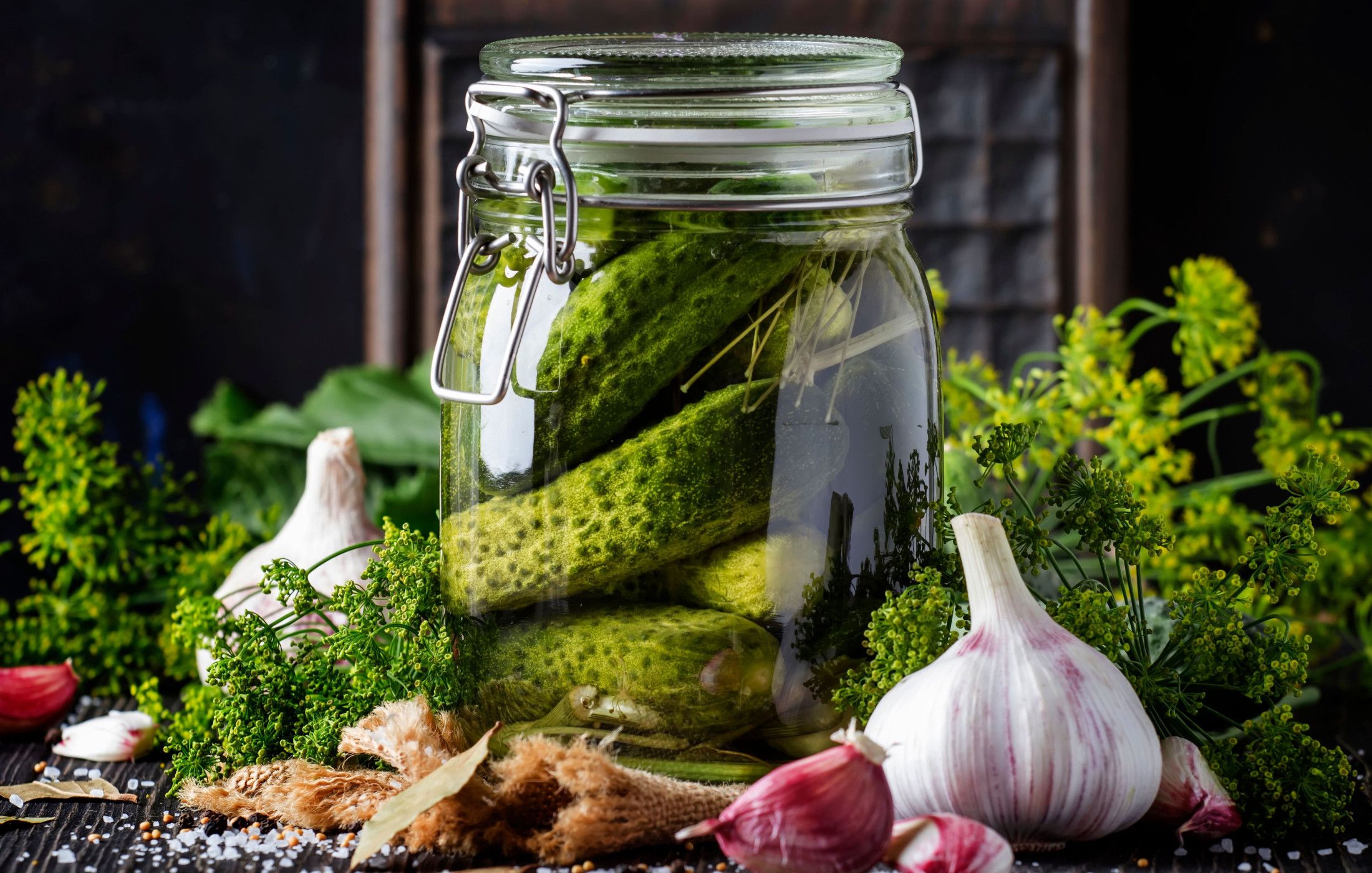 HOMEMADE FERMENTED DILL PICKLES-1