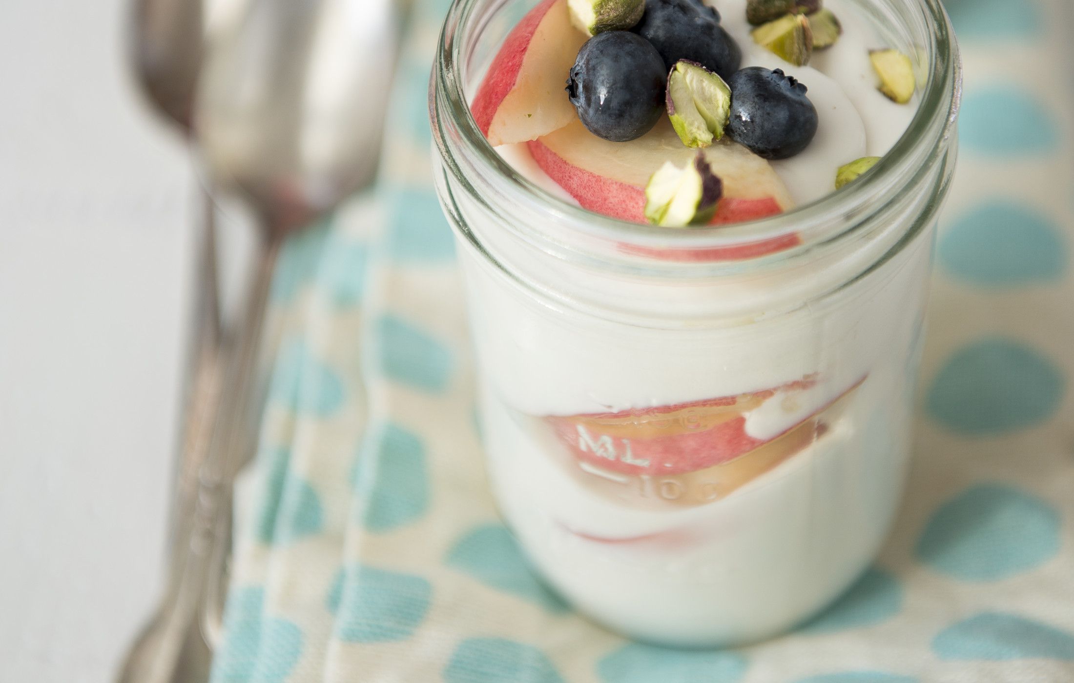 Coconut Milk Yogurt
