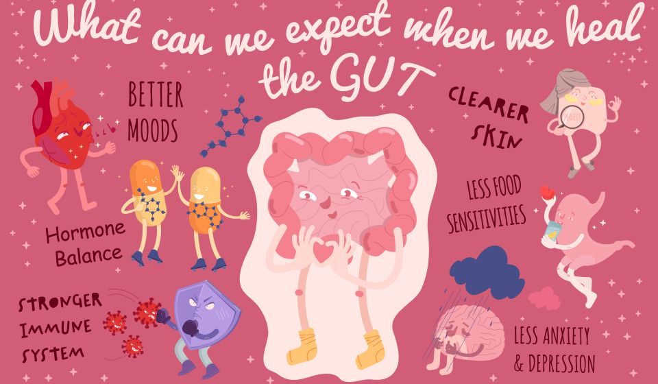 MY HEALTHY GUT-1